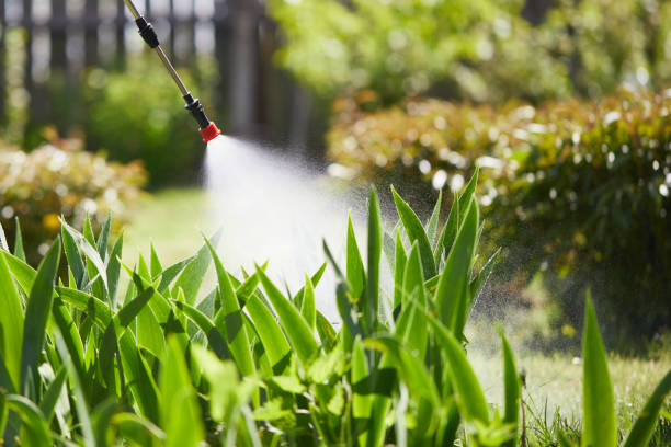Tamper-Resistant Bait Stations for Rodents in Camanche Village