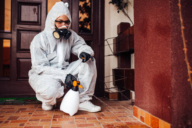 Attic and Crawl Space Rodent Treatment in Camanche Village