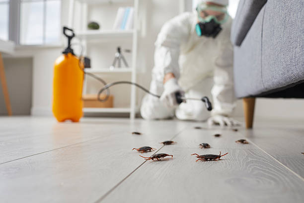 Commercial Rodent Management in Camanche Village